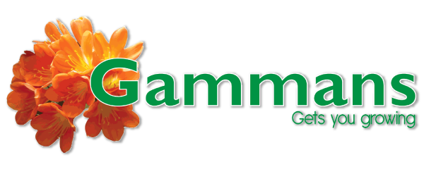 Logo_Gammans